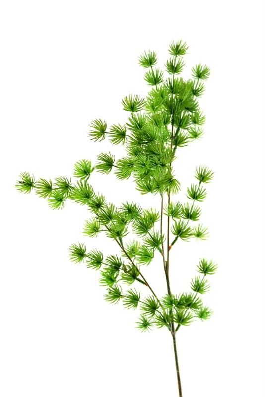 Ramo ming pine — Fogliame Artificiale & Complementi