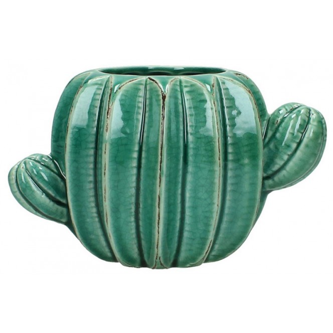 Vaso porcellana cactus — Vasi in Ceramica