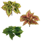 3D REAL TOUCH CALADIUM ASSX3  POLIESTERE   x H 34,00 CM