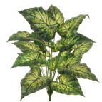 3D REAL TOUCH CALADIUM