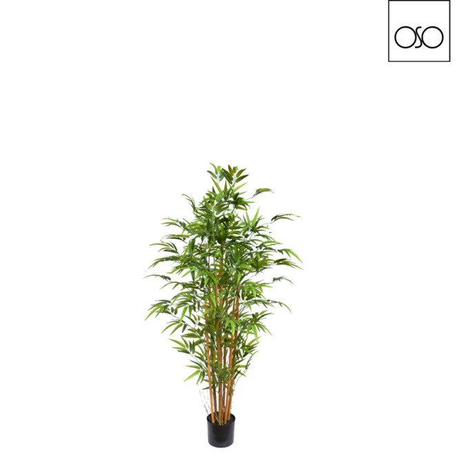 Pianta bamboo c/vaso — Piante Artificiali